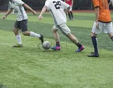 加克波建功,十人利物浦,战平富勒姆,世界杯预测,2026世界杯,足球赛预测,赛事分析,比赛结果